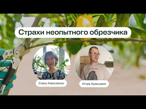 Видео: Страхи начинающих обрезчиков. Запись прямого эфира от школы «Умный садовник»