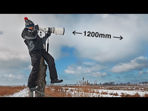 Видео: Что там на ДЛИННОМ конце? ФОТО охота из Canon 600mm в Чернобыльской зоне
