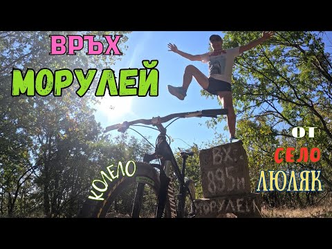 Видео: До връх Морулей от село Люляк с колело/Кръгов маршрут-2024