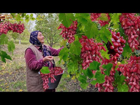 Видео: Виноградное чудо из бабушкиного сада 🍇🥧. Пирог и варенье 😋