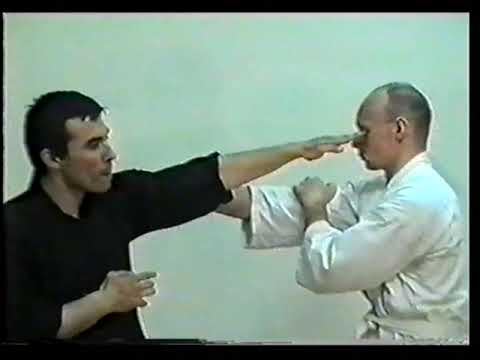 Видео: Да-цзе-шу -  искусство пресечения боя (Юрий Сенчуков) -1.1