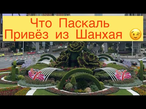 Видео: ЧТО ПАСКАЛЬ ПРИВЁЗ ИЗ ШАНХАЯ 😉🧁🥮✈️⛩️