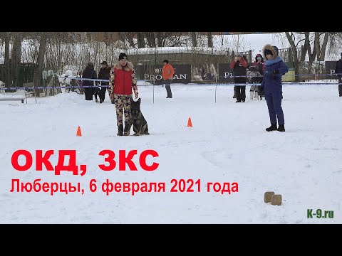 Видео: ОКД, ЗКС. 6 февраля 2021 года. Люберцы