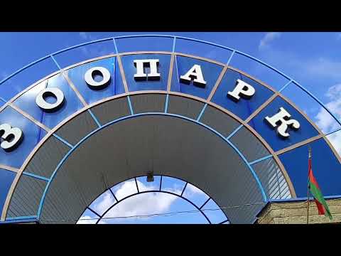 Видео: Гродненский зоопарк