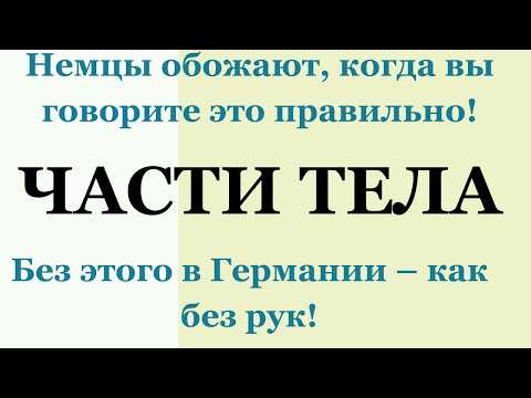 Видео: Немецкие слова: Голова, руки, ноги и другие части тела | Урок немецкого A1