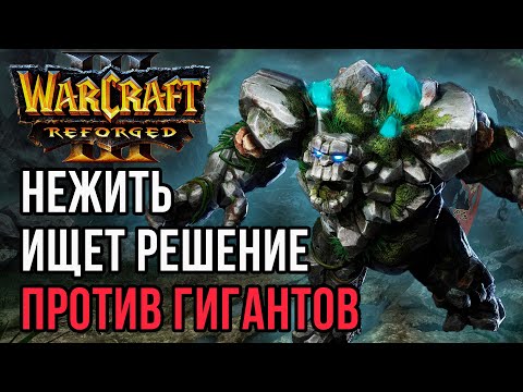 Видео: Нежить в поисках решения против Эльфов: Labyrinth (Ud) vs Colorful (Ne) Warcraft 3 Reforged