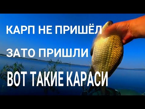 Видео: КИЛОГРАММОВЫЕ КАРАСИ НА БОКОВОЙ КИВОК И НА ПОПЛАВОК!!!
