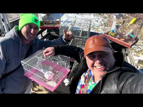 Видео: Chalga party international 2017-2024/Обзор на Българското ежедневие от 25/01/2024