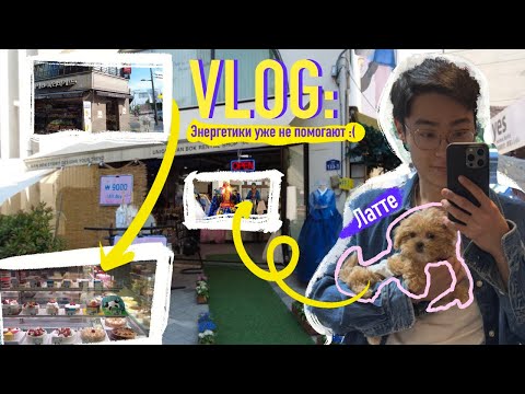 Видео: VLOG: МОЯ ЖИЗНЬ В КОРЕЕ #студенты