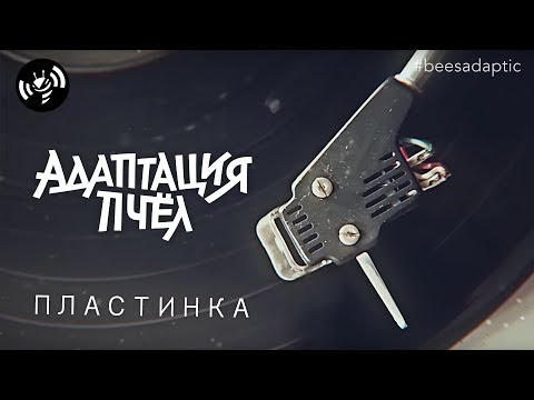 Видео: Пластинка - Адаптация Пчёл | Beesadaptic