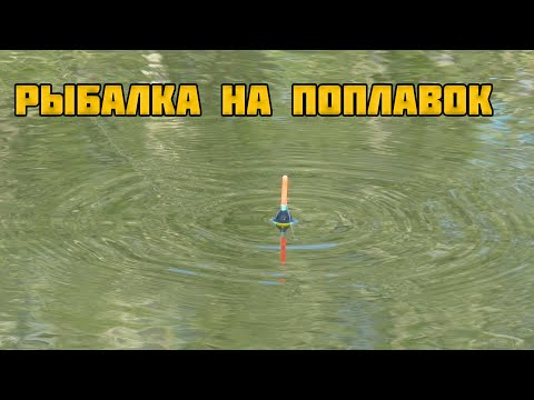 Видео: Рыбалка на поплавок июнь 2023