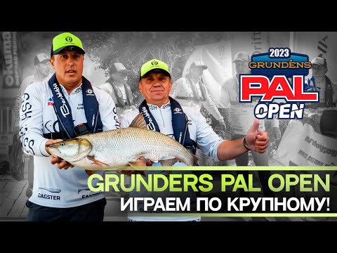 Видео: Pal Open 2023. МЫ В ИГРЕ!  Новый рекорд PAL по жереху