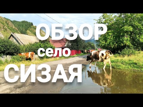Видео: Дом на Юге не ДОРОГО село Сизая честный обзор Улицы Плюсы и Минусы Место где хочется ЖИТЬ