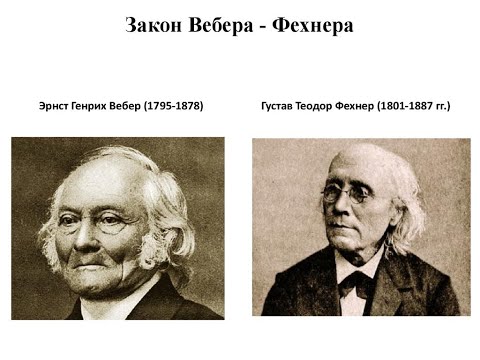 Видео: 18. Теория. Закон Вебера-Фехнера. Фельденкрайз метод.