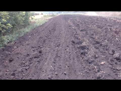Видео: т150 с дискатором на огороде Еле взял