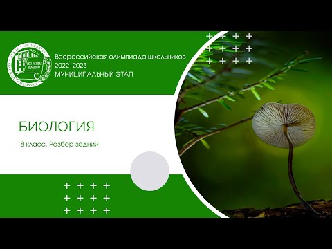 Видео: Муниципальный этап 2022–2023 уч.г. Биология. 8 класс. Разбор заданий