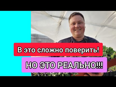 Видео: Петуния зацветёт через 30 дней от посева! Раскрываю секрет!