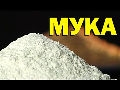 Видео: Галилео. Мука