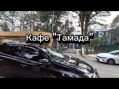 Видео: Кафе "Тамада". Садовая ул., 5/1, жилой район Адлер, Сочи