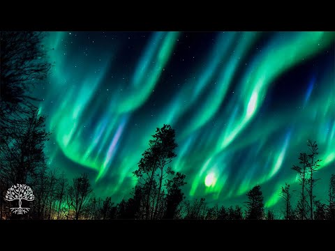 Видео: Стресс и тревога - детокс негативные эмоции, заживление сна