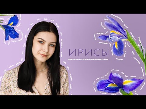 Видео: ИРИСОВЫЕ АРОМАТЫ