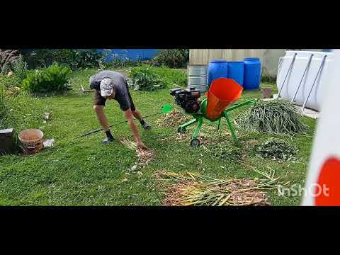 Видео: Измельчитель травы и веток Мастер. Проба переработки: пионы, луковое перо и чесночный стебель