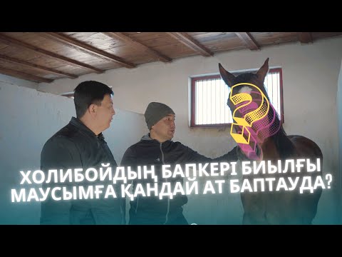 Видео: Холибойдың бапкері биылғы маусымға қандай ат баптауда?