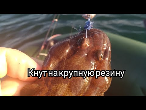 Видео: Силикон на Черном море.Ловля бычка