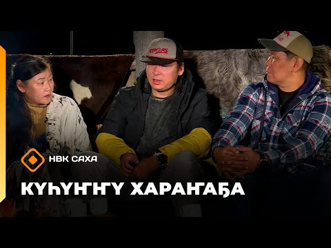 Видео: «Күһүҥҥү хараҥаҕа...»     (25.09.25)