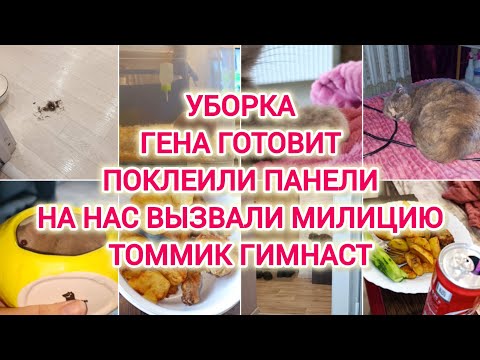 Видео: VLOG | УБОРКА | ГЕНА ГОТОВИТ | ПОКЛЕИЛИ ПАНЕЛИ | НА НАС ВЫЗВАЛИ МИЛИЦИЮ | ТОММИК ГИМНАСТ