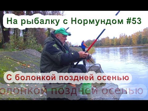 Видео: Болонская ловля поздней осенью. На рыбалку с Нормундом #53