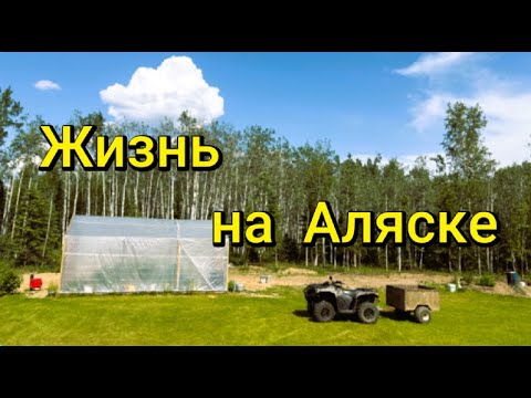 Видео: Жизнь на Аляске. Весна-лето 2025г. Стройка. Домашнее хозяйство. Рыбалка.