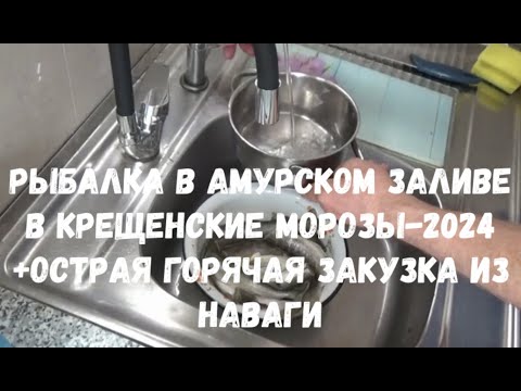 Видео: Рыбалка в Амурском заливе 21 января 2024