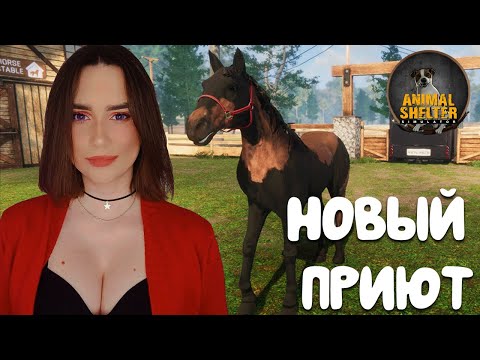 Видео: Animal Shelter ► НОВЫЙ ПРИЮТ + ДЛС ЛОШАДИ