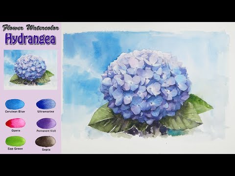 Видео: фонд Цветочная акварель -   Голубая гортензия (Arches rough. wet-in-wet) NAMIL ART