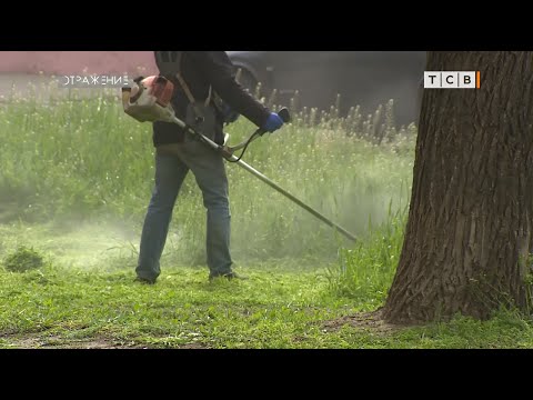 Видео: Время косить траву