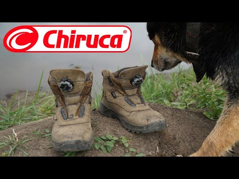 Видео: Chiruca Labrador BOA. Испанская бычара!