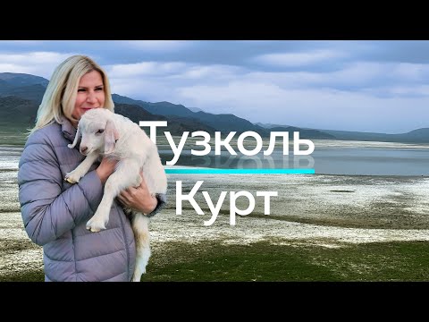 Видео: ОЗЕРО ТУЗКОЛЬ - Душевное путешествие в соленые горы Казахстана! / "А как там у них?" c Еленой Кукеле