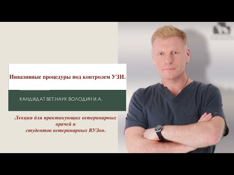 Видео: Инвазивные процедуры под контролем УЗИ. Часть первая.