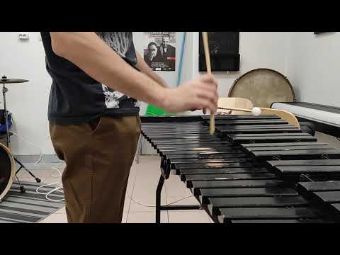 Видео: Гамма и трезвучие на ксилофоне