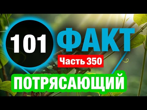 Видео: 101 Факт, Который Напомнит О Красоте Нашего Мира