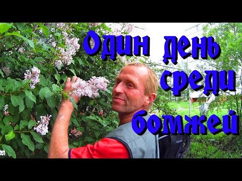 Видео: Один день среди бомжей / 3 серия - пьянка (18+)   Павел Васильевич  Павел Васильевич