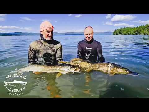 Видео: Путешествие к "Крокодилам Тывы" на озеро Ушпе-Холь 2025.