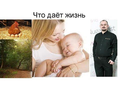 Видео: Тепло, как важный фактор для жизни