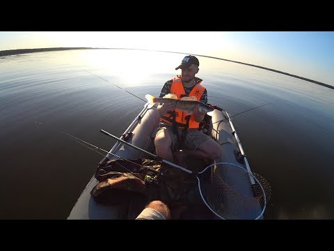 Видео: Рыбалка на судака 23 августа 2019