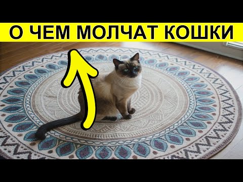 Видео: 🐱 100+ звуков, которые ваша кошка издает ТАЙНО от вас