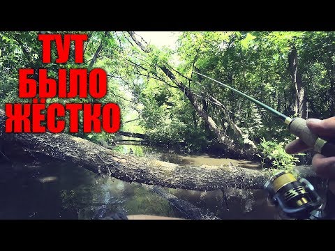 Видео: ЭКСТРЕМАЛЬНАЯ РЫБАЛКА В ДИКОЙ РЕЧКЕ...Тур Истории