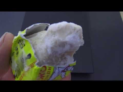 Видео: ДАФНИЯ 100% без подмен 4 сутки! кормим ДРОЖЖАМИ.