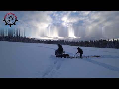 Видео: В глубокий снег на мотобуксировщиках Мотодог | Едем за хариусом и кумжой.