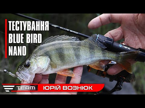 Видео: Передсерійний Favorite Blue Bird NANO. Тестування спінінгу та літня ловля окуня на наноджиг у спеку.